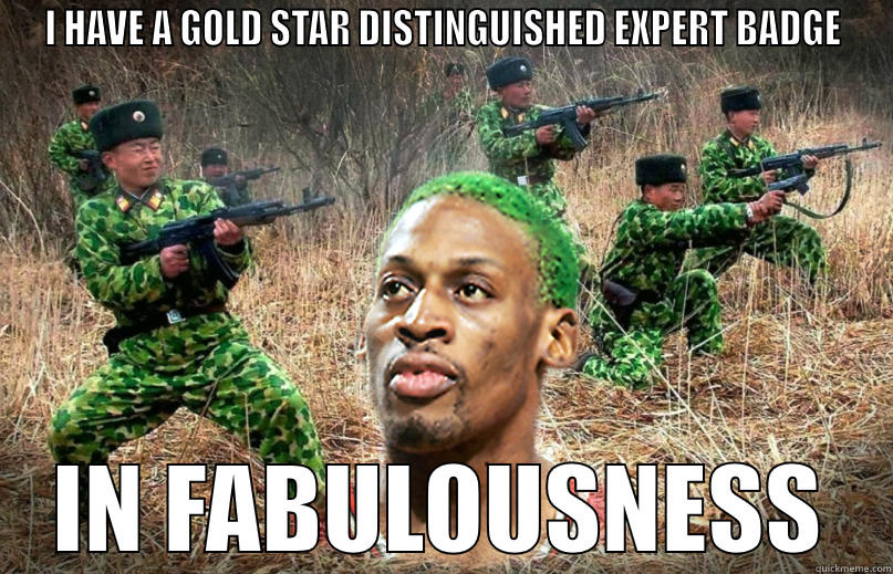 I HAVE A GOLD STAR DISTINGUISHED EXPERT BADGE IN FABULOUSNESS Misc