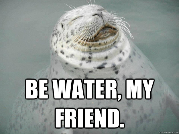 Be water, my friend.  Zen Seal