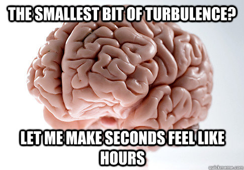 The smallest bit of turbulence? Let me make seconds feel like hours  Scumbag Brain