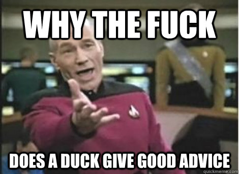 why the fuck does a duck give good advice - why the fuck does a duck give good advice  Misc
