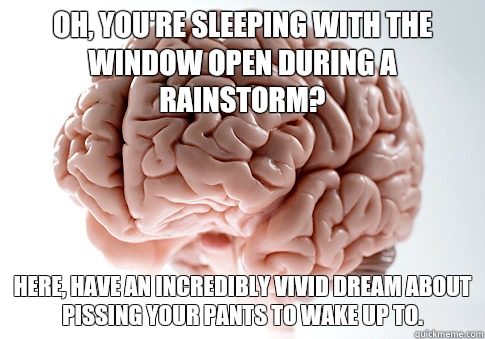 Oh, you're sleeping with the window open during a rainstorm? Here, have an incredibly vivid dream about pissing your pants to wake up to.  Scumbag Brain