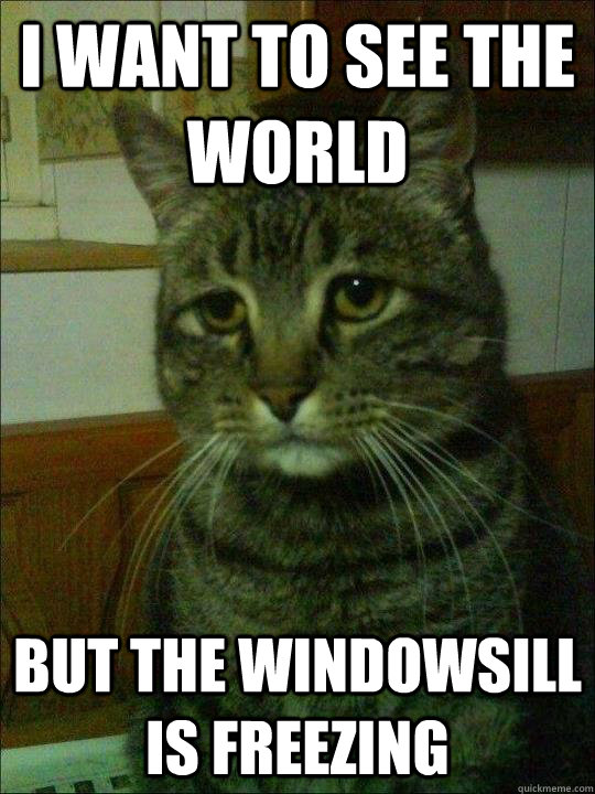 I want to see the world But the windowsill is freezing  Depressed cat
