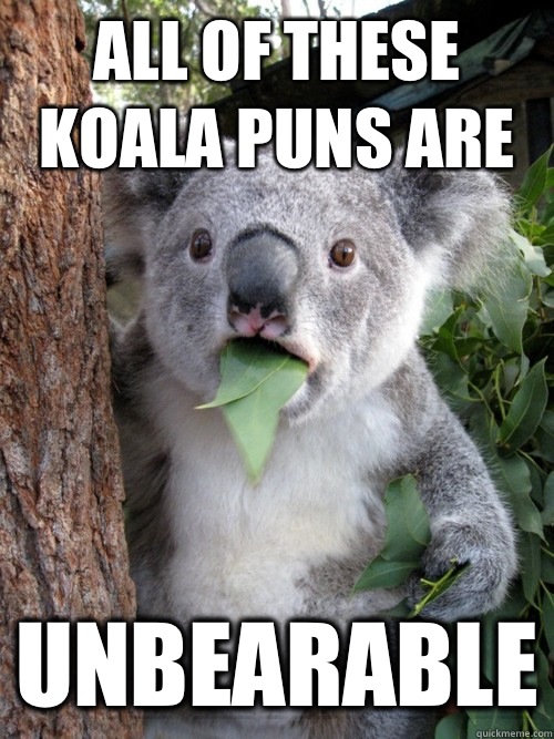 All of these koala puns are UNBEARABLE - All of these koala puns are UNBEARABLE  koala bear