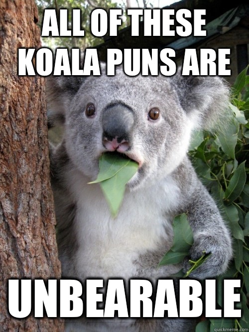 All of these koala puns are UNBEARABLE  koala bear