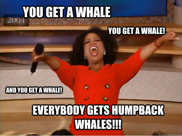 You get a whale Everybody gets humpback whales!!! you get a whale! AND you get a whale!  oprah you get a car