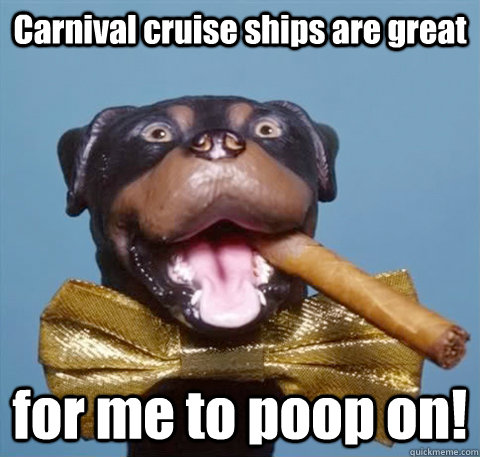 Carnival cruise ships are great for me to poop on! - Carnival cruise ships are great for me to poop on!  triumph the insult comic dog