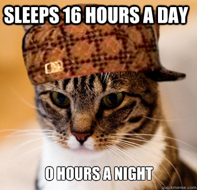 Sleeps 16 hours a day 0 hours a night  