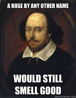 a rose by any other name would still smell good  Shakespeare Twin