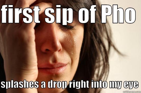 FIRST SIP OF PHO   SPLASHES A DROP RIGHT INTO MY EYE First World Problems