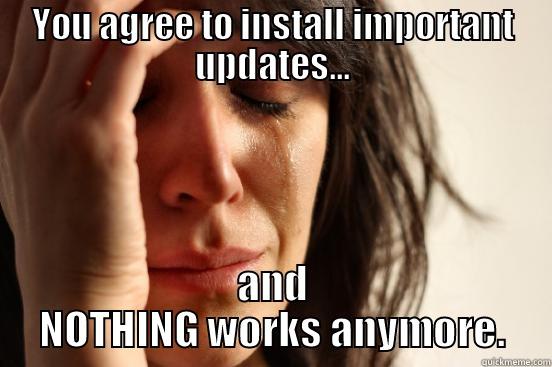 YOU AGREE TO INSTALL IMPORTANT UPDATES... AND NOTHING WORKS ANYMORE. First World Problems