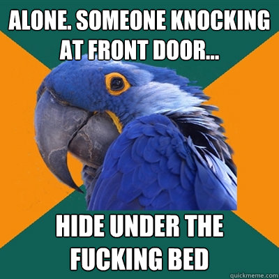 Alone. Someone knocking at front door... Hide under the fucking bed  Paranoid Parrot