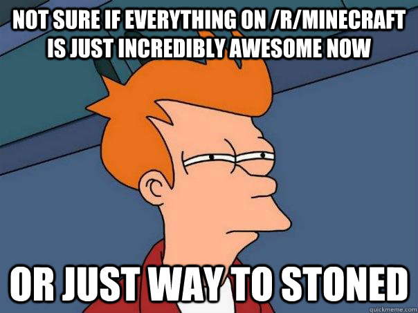 Not sure if everything on /r/minecraft is just incredibly awesome now Or just way to stoned - Not sure if everything on /r/minecraft is just incredibly awesome now Or just way to stoned  Futurama Fry
