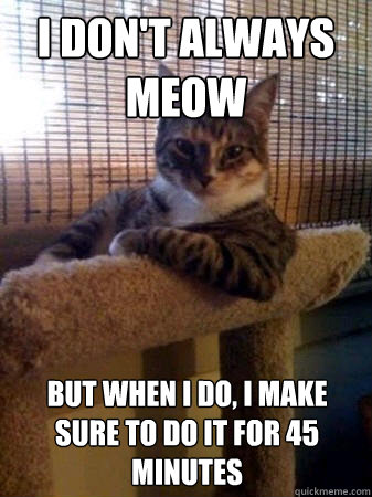 I don't always meow but when i do, i make sure to do it for 45 minutes  The Most Interesting Cat in the World