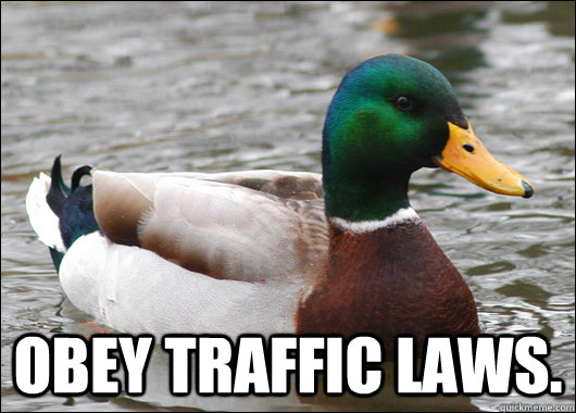  Obey traffic laws.   Actual Advice Mallard