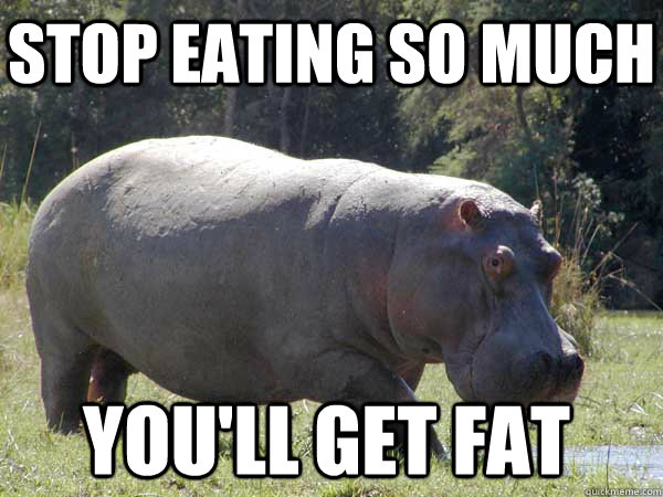 Stop eating so much You'll get fat - Stop eating so much You'll get fat  Hippocritical Hippo