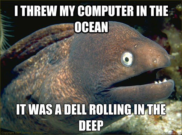 I threw my computer in the ocean It was a Dell rolling in the deep - I threw my computer in the ocean It was a Dell rolling in the deep  Bad Joke Eel