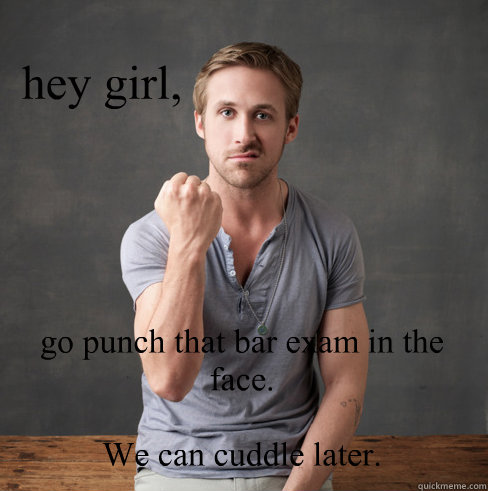 hey girl, go punch that bar exam in the face.

We can cuddle later.  neuroscientist ryan gosling