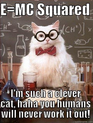 E=MC SQUARED  I'M SUCH A CLEVER CAT, HAHA YOU HUMANS WILL NEVER WORK IT OUT! Chemistry Cat