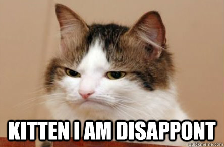  Kitten I am disappont  Highly Unimpressed Cat