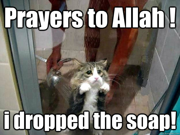 Prayers to Allah ! i dropped the soap!  Shower kitty