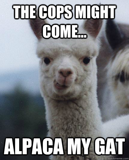 the cops might come... ALPACA my gat  ALPACA