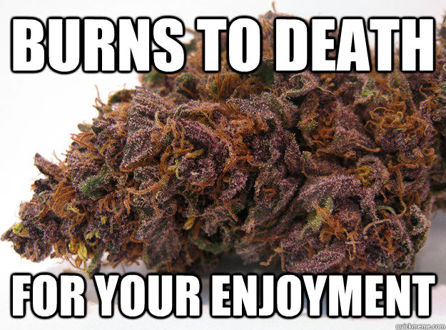 burns to death for your enjoyment - burns to death for your enjoyment  Good Guy Marijuana