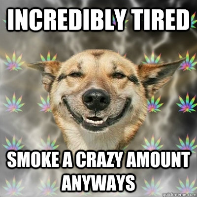 Incredibly Tired Smoke a crazy amount anyways  Stoner Dog