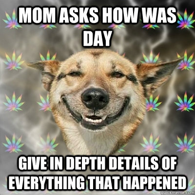 mom asks how was day give in depth details of everything that happened   Stoner Dog