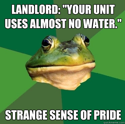 landlord: 