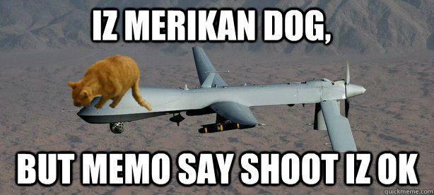 iZ MERIKAN DOG, BUT MEMO SAY SHOOT IZ OK - iZ MERIKAN DOG, BUT MEMO SAY SHOOT IZ OK  Drone Cat