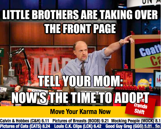 little brothers are taking over the front page tell your mom:
now's the time to adopt - little brothers are taking over the front page tell your mom:
now's the time to adopt  Mad Karma with Jim Cramer