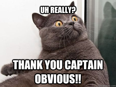 uh really?  thank you captain obvious!!  conspiracy cat