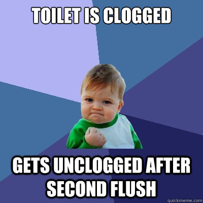 Toilet is clogged Gets unclogged after second flush  Success Kid