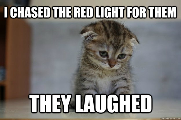 i chased the red light for them they laughed  Sad Kitten
