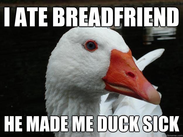 I ate breadfriend He made me duck sick  