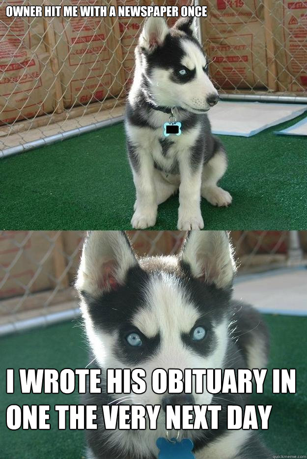 owner hit me with a newspaper once i wrote his obituary in one the very next day  Insanity puppy