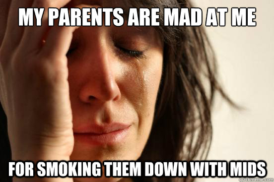 my parents are mad at me for smoking them down with mids  First World Problems