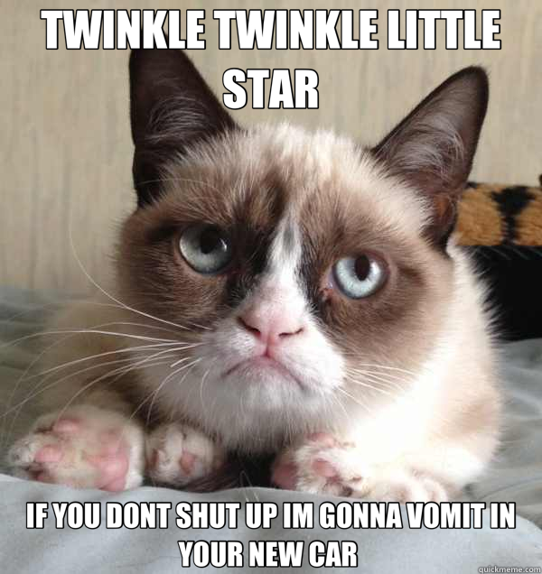 TWINKLE TWINKLE LITTLE STAR IF YOU DONT SHUT UP IM GONNA VOMIT IN YOUR NEW CAR  - TWINKLE TWINKLE LITTLE STAR IF YOU DONT SHUT UP IM GONNA VOMIT IN YOUR NEW CAR   Grumpy Cat Amex