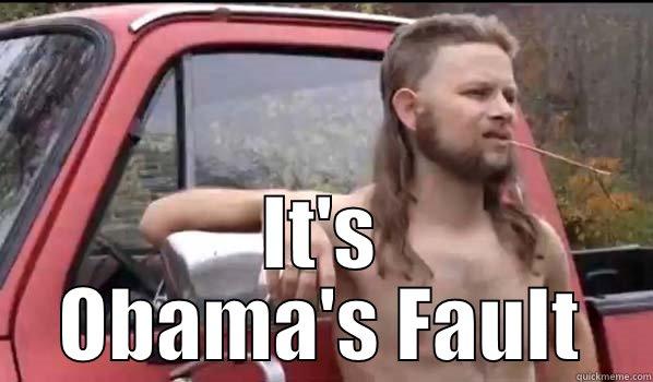  IT'S OBAMA'S FAULT Almost Politically Correct Redneck
