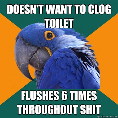 Doesn't want to clog toilet Flushes 6 times throughout shit  Paranoid Parrot