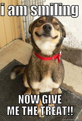 I AM SMILING  NOW GIVE ME THE TREAT!! Good Dog Greg
