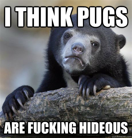 I think pugs Are fucking hideous  Confession Bear