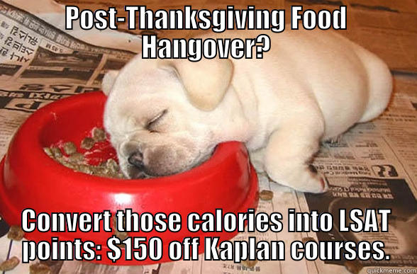 thanksgiving dog - POST-THANKSGIVING FOOD HANGOVER? CONVERT THOSE CALORIES INTO LSAT POINTS: $150 OFF KAPLAN COURSES. Misc