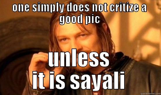 ONE SIMPLY DOES NOT CRITIZE A GOOD PIC UNLESS IT IS SAYALI Boromir