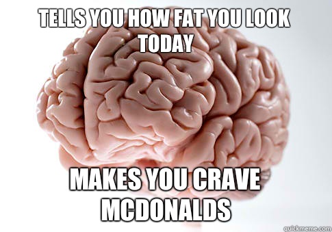Tells you how fat you look today Makes you crave McDonalds  Scumbag Brain