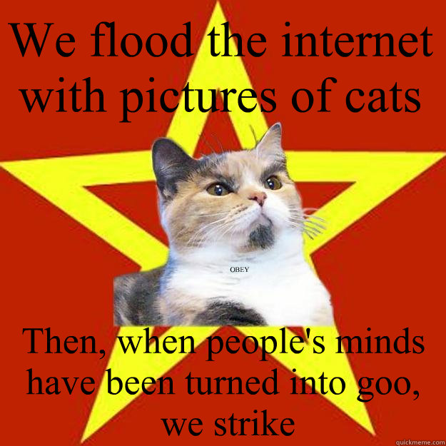 We flood the internet with pictures of cats Then, when people's minds have been turned into goo,
 we strike OBEY  Lenin Cat