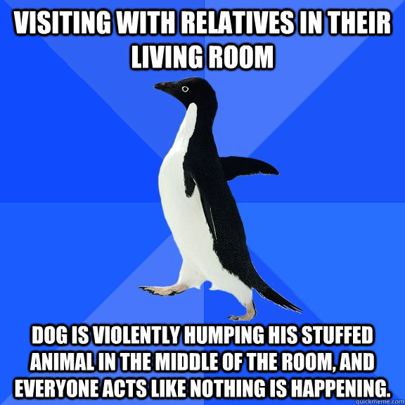 visiting with relatives in their living room  Dog is violently humping his stuffed animal in the middle of the room, and everyone acts like nothing is happening.   Socially Awkward Penguin