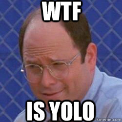 wtf is yolo  