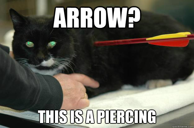 Arrow? This is a piercing  Worlds Toughest Cat