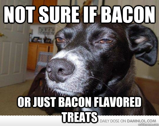 Not sure if bacon or just bacon flavored treats  